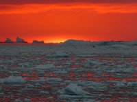 The Royal Society Publishing Photography Competition