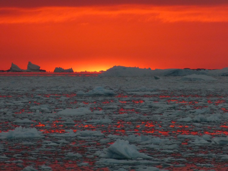The Royal Society Publishing Photography Competition