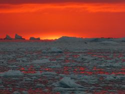 Karya Jawara Kontes Foto Scientific yang Bikin Tercengang
