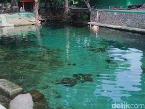 Beningnya Umbul Gedaren Klaten, Pernah Jadi Tempat Persinggahan Raja