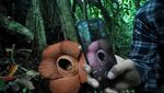 Bunga Rafflesia Kembar Tiga Mekar di Bengkulu