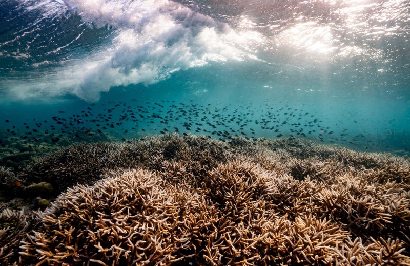 Capturing Ecology 2023