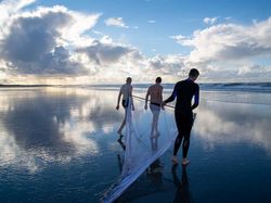 Keindahan Flora dan Fauna dalam Jepretan Jawara Kontes Foto Alam Liar