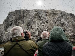 Keindahan Flora dan Fauna dalam Jepretan Jawara Kontes Foto Alam Liar