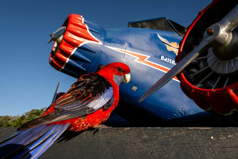 Capturing Ecology 2023