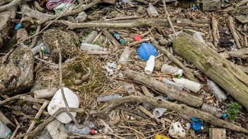 Modern Real Estate hasil jepretan Danni Thompson terpilih sebagai pemenang kategori People and Nature edisi pelajar. Foto: Danni Thompson/Capturing Ecology 2023