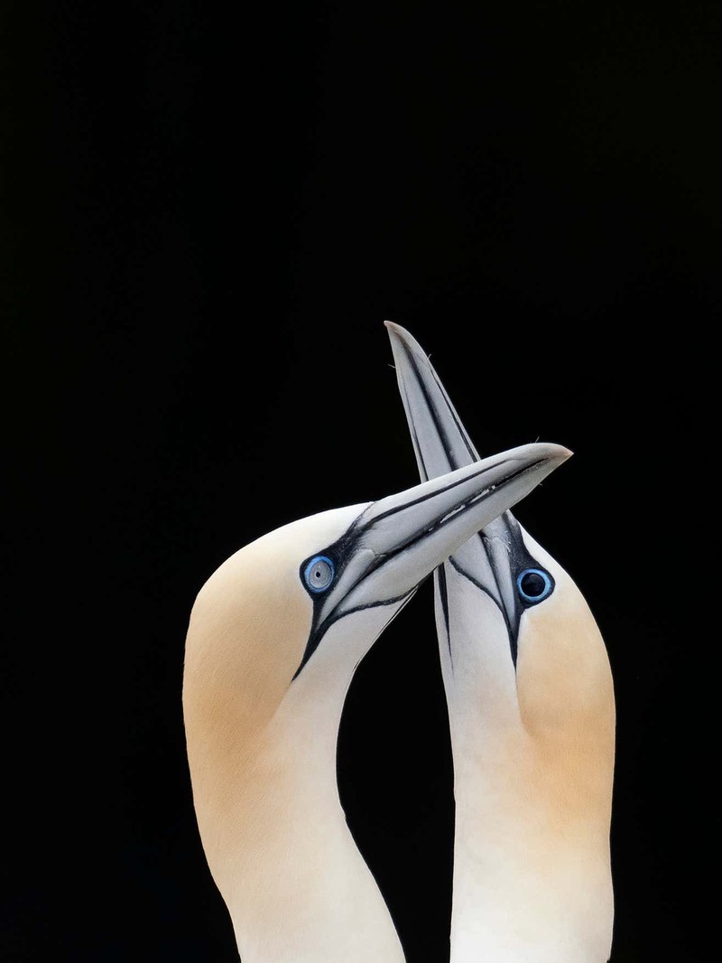 Capturing Ecology 2023