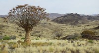 Capturing Ecology 2023