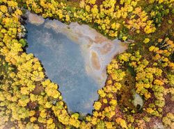 Keindahan Flora dan Fauna dalam Jepretan Jawara Kontes Foto Alam Liar