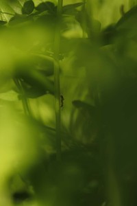 Capturing Ecology 2023