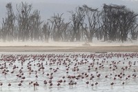 Capturing Ecology 2023