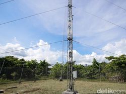 Dulu Cari Sinyal ke Pantai, Kini Warga Pelosok Halut Bebas Internetan