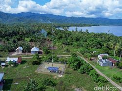 Dulu Cari Sinyal ke Pantai, Kini Warga Pelosok Halut Bebas Internetan