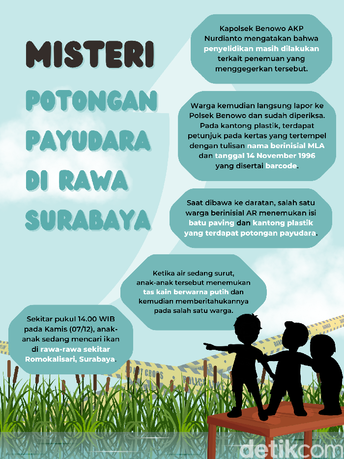 Infografis: potogan payudara di rawa-rawa Surabaya.