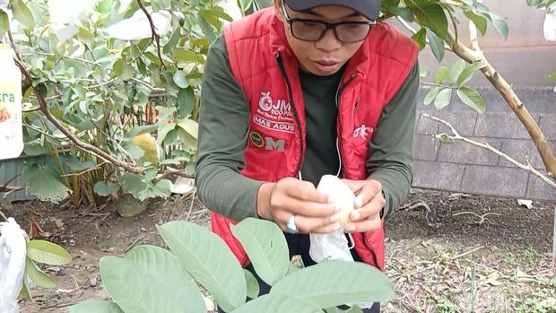 Kota Batam, Kepulauan Riau (Kepri), dikenal sebagai kota industri dan perdagangan. Namun, kota ini juga memiliki berbagai destinasi wisata alam yang menarik untuk dikunjungi.