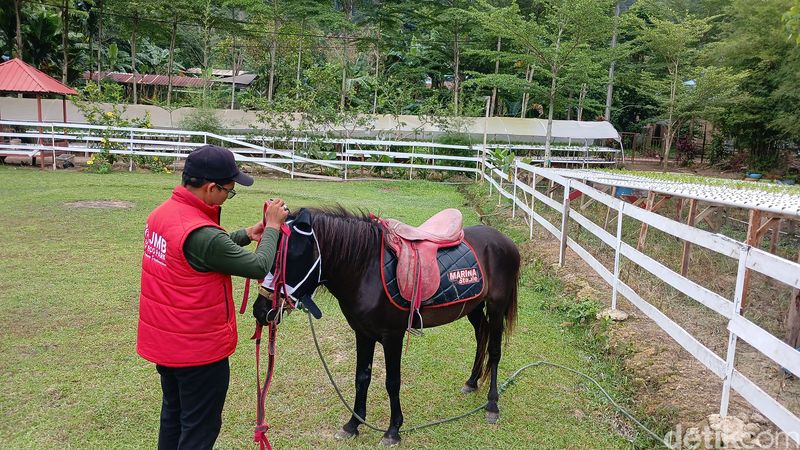 Kota Batam, Kepulauan Riau (Kepri), dikenal sebagai kota industri dan perdagangan. Namun, kota ini juga memiliki berbagai destinasi wisata alam yang menarik untuk dikunjungi.