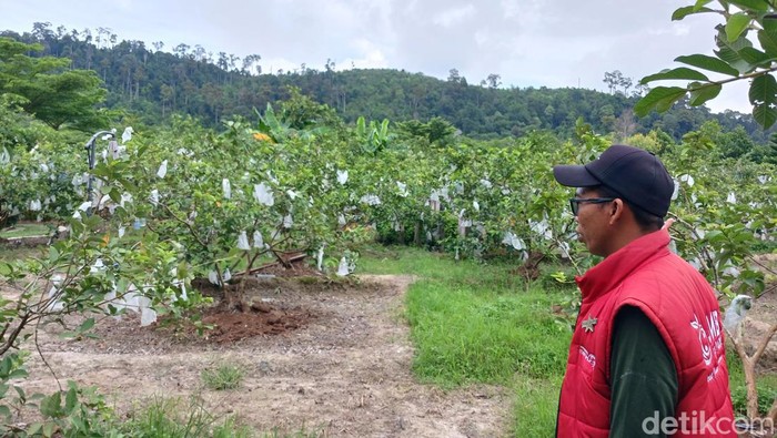 Kota Batam, Kepulauan Riau (Kepri), dikenal sebagai kota industri dan perdagangan. Namun, kota ini juga memiliki berbagai destinasi wisata alam yang menarik untuk dikunjungi.