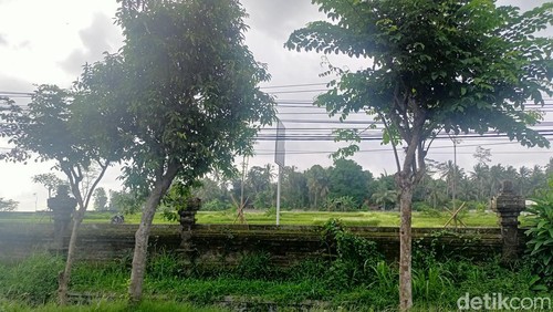 Potret lahan seluas 1,8 hektare milik Pemkab Badung di Jalan Raya Denpasar-Sangeh, yang semula direncanakan untuk TPST, Sabtu (9/12/2023).