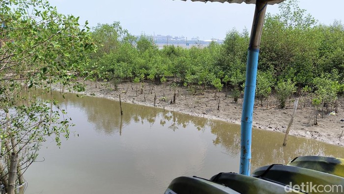 Lokasi potongan payudara Surabaya