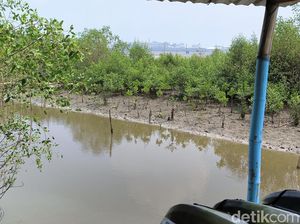 Terkuaknya Misteri Potongan Payudara di Surabaya