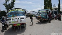 Bus moncong ini menjadi moda transportasi umum yang tergolong unik dan menjadi andalan bagi warga untuk berpergian keluar Kota Waingapu. Sesuai namanya, bus moncong memiliki bentuk yang cukup unik. Pasalnya, bagian depan bus tersebut bentuknya sedikit lebih maju dan cukup berbeda dengan bus-bus pada umumnya yang cenderung datar. Biasanya bagian depan bus moncong turut dihiasi dengan sejumlah rantai yang menjuntai.