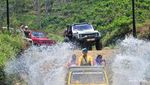 Foto: Sensasi Naik Jeep di Kebun Teh Kemuning, Aduhai Rasanya