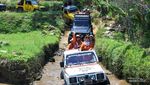 Foto: Sensasi Naik Jeep di Kebun Teh Kemuning, Aduhai Rasanya