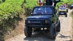 Foto: Sensasi Naik Jeep di Kebun Teh Kemuning, Aduhai Rasanya