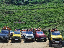 Foto: Sensasi Naik Jeep di Kebun Teh Kemuning, Aduhai Rasanya