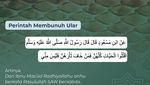 Alasan Nabi Muhammad Perintahkan Membunuh Ular