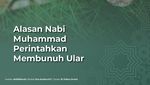 Alasan Nabi Muhammad Perintahkan Membunuh Ular