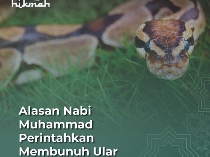 Anjuran membunuh ular
