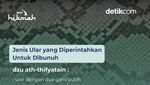 Alasan Nabi Muhammad Perintahkan Membunuh Ular