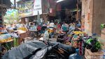 Begini Jeroan Kampung Starling di Tengah Ibu Kota yang Dihuni 500 Pedagang