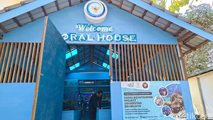Ekowisata terumbu karang Banyuwangi