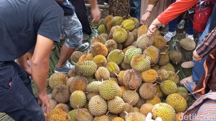 Festival durian tiban, warga serbu durian Rp 5 ribuan di Banjarnegara, Minggu (10/12/2023).