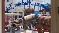 Toko fudge ini berlokasi di daerah Mackinac Island. Daerah ini pun terkenal dengan sebutan ‘no car city’. Dari depan toko kamu bisa melihat kereta kuda, wisatawan, atau penduduk lokal berlalu lalang begitu saja. Foto: onlyinyourstate.com