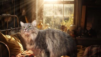 Bulunya bagus banget deh. Foto: (Bored Panda).