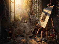 Kumpulan Foto Kucing Diedit Pakai Photoshop, Mana yang Lebih Lucu?