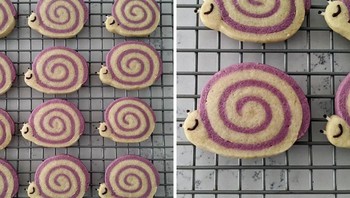 Snookies (Snail Cookies). Foto: Boredpanda