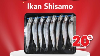 Ikan Shisamo Kaya Protein dan Omega-3, Paling Enak Digoreng Garing!