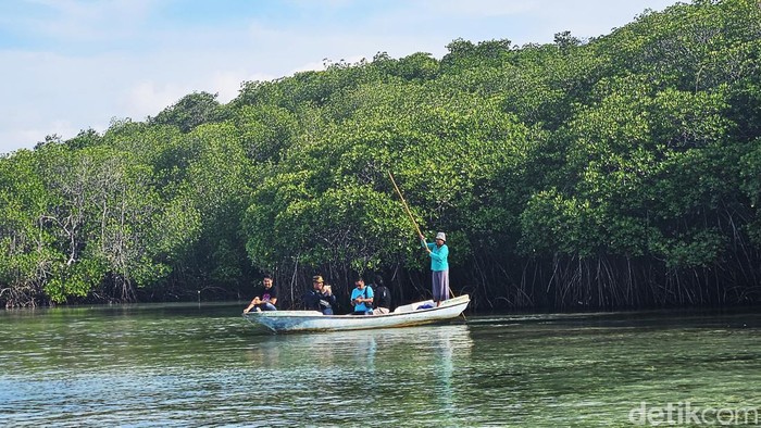 Wisata keliling kawasan hutan mangrove Nusa Lembongan dengan perahu tradisional, Minggu (10/12/2023). (Putu Krista/detikBali)