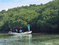 Tradisional Tour Hutan Mangrove Lembongan, Seseru Itu!