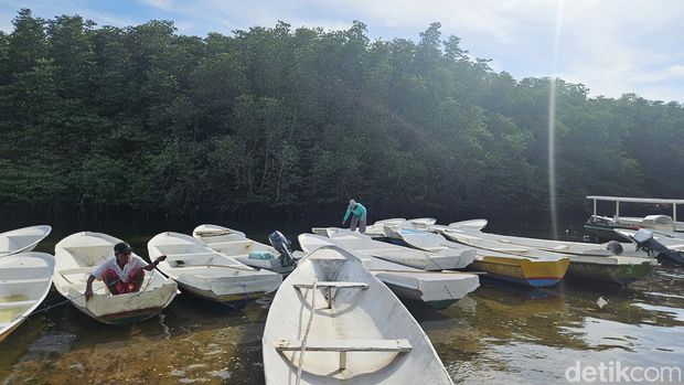 Wisata keliling kawasan hutan mangrove Nusa Lembongan dengan perahu tradisional, Minggu (10/12/2023). (Putu Krista/detikBali)