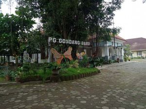Agrowisata Gondang Winangoen Klaten: Harga, Lokasi, Daya Tarik-Fasilitas