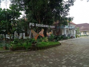 Agrowisata Gondang Winangoen Klaten: Harga, Lokasi, Daya Tarik-Fasilitas