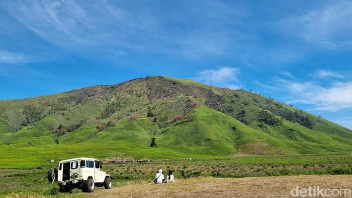Taman Nasional Bromo Tengger Semeru (TNBTS) setelah terbakar Kamis (7/12/2023).