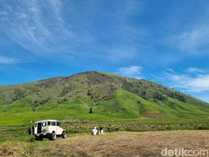 Betulkah Kebakaran Bromo Jadi Berkah Rumput Hijau Sejauh Mata Memandang?