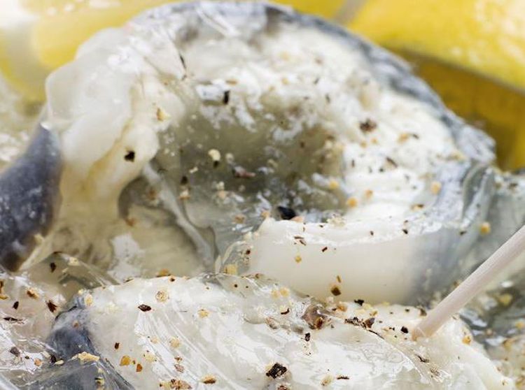 Berani Coba? Ini 10 Hidangan Ikan Terburuk di Dunia