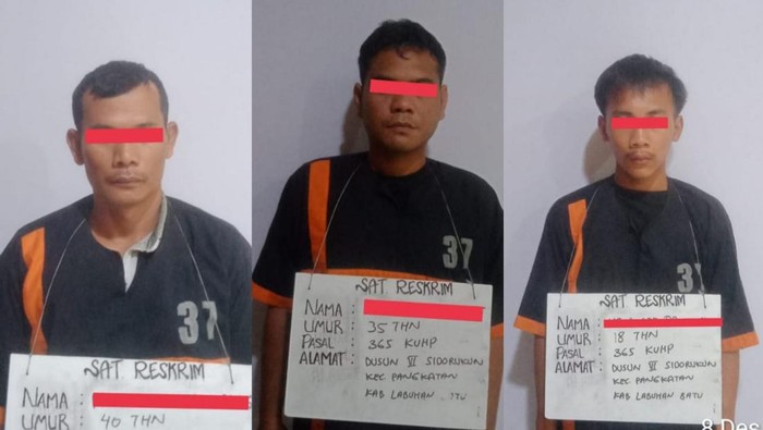 Kawanan pencuri yang beraksi di areal PTPN 3 Rantauprapat.